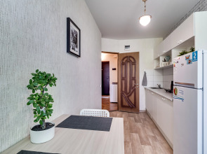 Апартаменты Однушка с мятным намеком