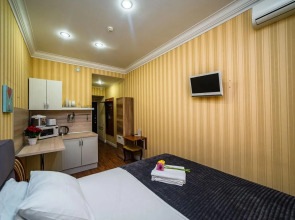 Апартаменты Козицкий переулок 1А (02)