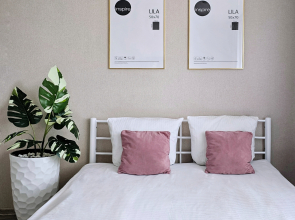 Апартаменты FlaNsk (ФлаНск) на Фрунзе