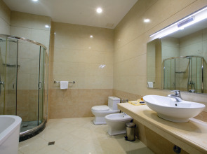 Отель Shah Palace