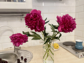 Апартаменты Слонъ на Загородном