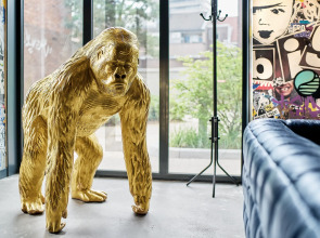 Отель the Match