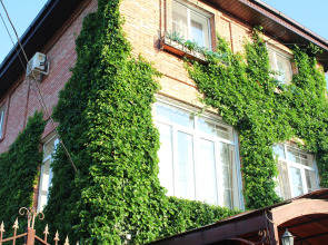 Гостевой дом У Друзей