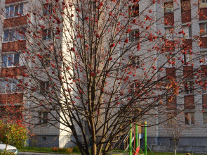 Хостел Гагарин