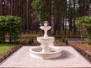 Санаторий Золотой Колос