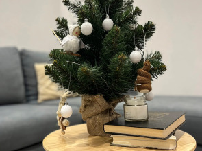 Апартаменты с видом на горы