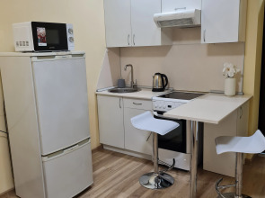 Апартаменты Льва Толстого 12