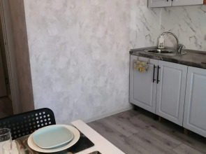 Апартаменты на Толстого 4