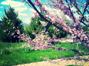 База Отдыха Алмаз Аква Плаза