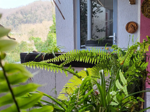 Гостевой дом Макс