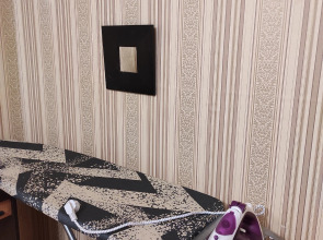 Квартира 1-комнатная квартира у метро пр. Большевиков