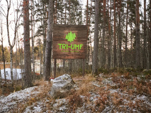 Отель Парк-Отель Триумф