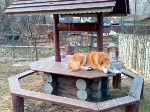 Гостевой Дом Русское Подворье Боровск Дмитрова 5