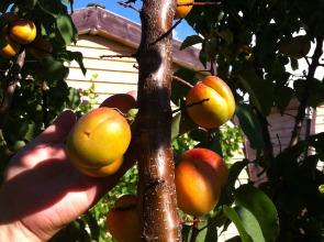 База Отдыха Эко Курорт Морское