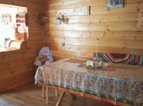 Гостевой дом СВЕТЕЛКА