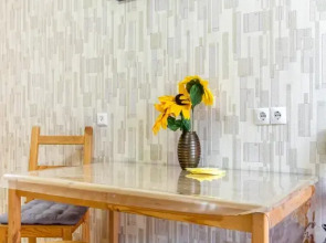 Апартаменты Студия с Балконом и Красивым Видом Юг-Апарт