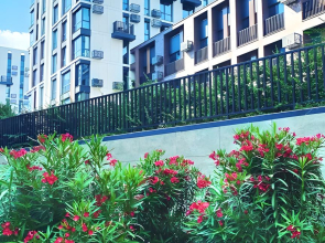 Апартаменты Shantaram