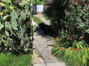 Жилое помещение Bamboo Garden