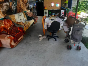 Жилое помещение Bamboo Garden