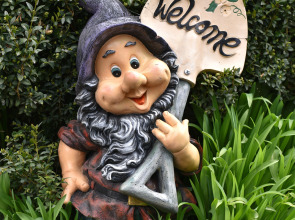 Отель Green Wood