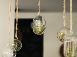 Бутик-Отель Payava By True Blue