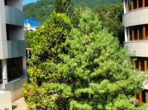 Апартаменты Морская симфония