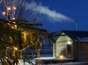 База отдыха Золотой сазан