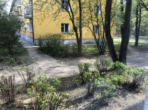 Квартира Студия Белые Пески в Сосновом Бору