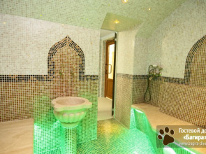 Отель Багира