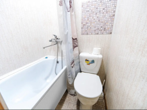 Апартаменты Зеленый шелк рядом с парком в центре города