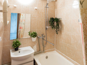 Квартира Полосухина 1