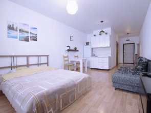 Квартира Около Аэропорта Толмачево