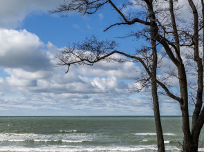 Апартаменты LovelyHome39 Студия 1 в Пионерском