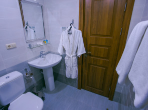 Отель Ani Central Inn