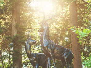 Санаторий Foros Wellness & Park