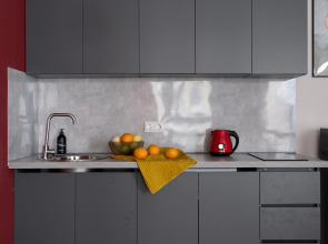 Квартира Просторная студия Таллинский парк