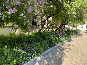 Апартаменты С Видом на Неву и Литейный Мост