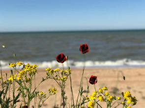Гостевой Дом 7 Морей