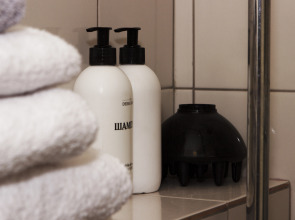 Апартаменты Абакан