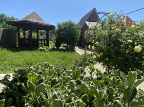 Гостевой дом Солнечный Хаджох