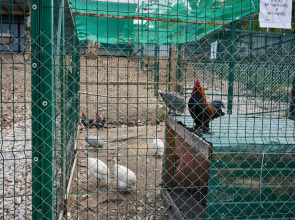 База отдыха Белла