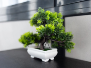 Апартаменты Room-Room Январский