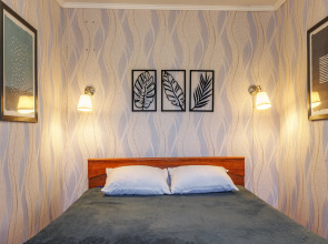 Квартира Двухкомнатная на Фридриха Энгельса