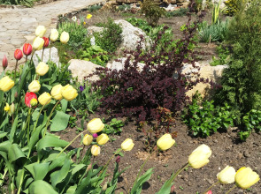 Гостевой Дом Серенада