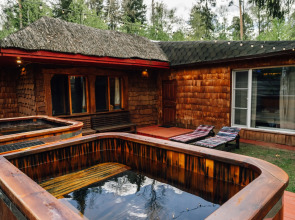 Мини-отель Гуси-Лебеди