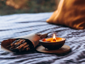 Кемпинг ForrestHome