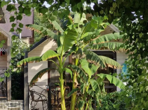 Гостевой дом Иль Маре