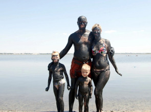 Мини-отель Розовый Фламинго