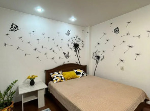 Апартаменты 1-комнатные с видом на Волгу (Бухта)