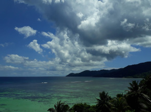 Апартаменты Au Fond De Mer View